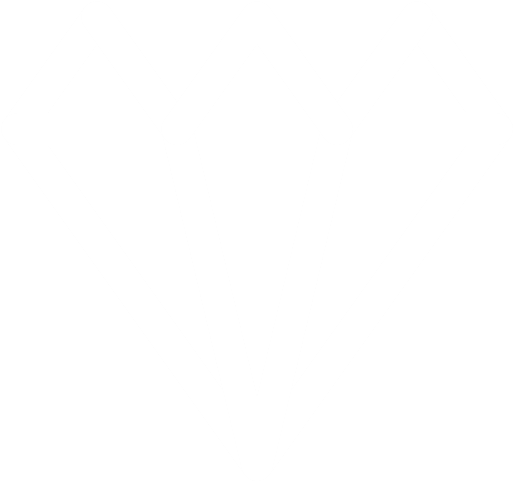 Icono de diamante representando exclusividad