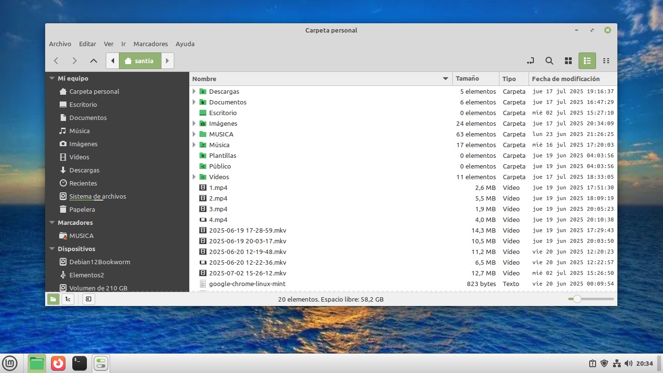 Explorador de archivos